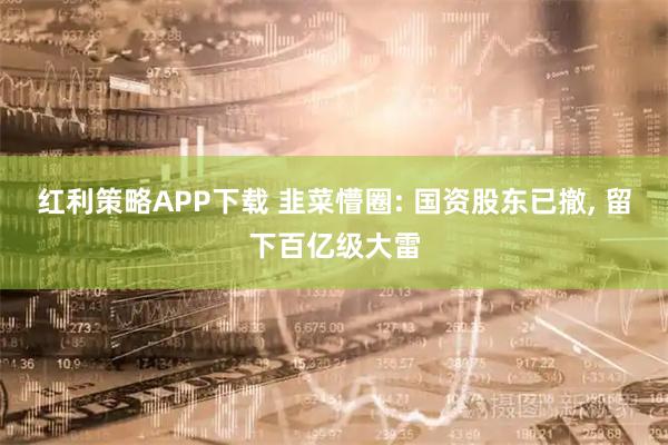 红利策略APP下载 韭菜懵圈: 国资股东已撤, 留下百亿级大雷